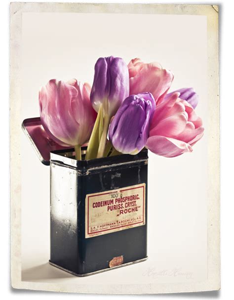 Vintage and tulips