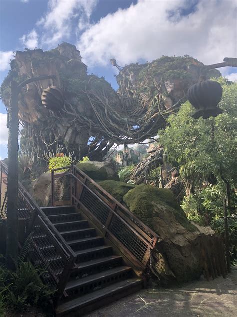 Finally got to ride Avatar flight of passage. No 5 hour wait this time. Great ride. : r/DisneyWorld