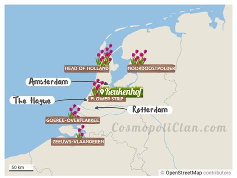 Where to see tulip fields in the Netherlands in 2024 (+ tulip map)