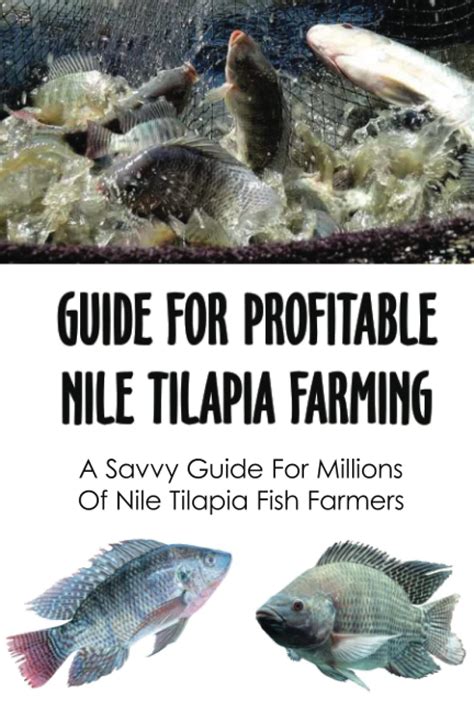 Buy Guide For Profitable Nile Tilapia Farming: A Savvy Guide For Millions Of Nile Tilapia Fish ...