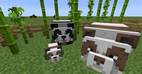 How To Breed A Brown Panda In Minecraft