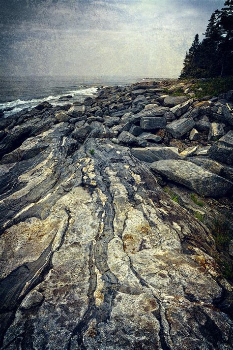 Rocky Maine Coastline by Joan Carroll