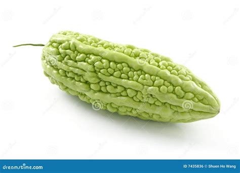 Ampalaya Stock Photography | CartoonDealer.com #46168520