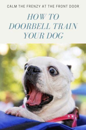 Doorbell Training My Dog - Calming the Crazy - Snoot and Toebeans