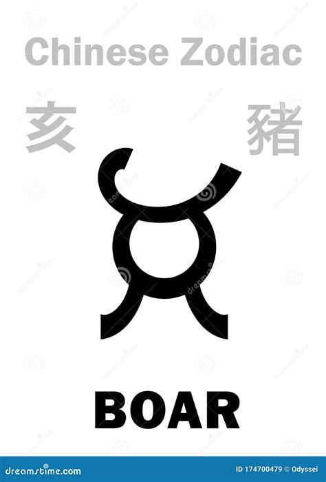 Astrology: BOAR (sign of Chinese Zodiac) Stock Vector - Illustration of ...