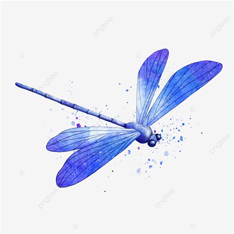 Watercolor Dragonfly Hd Transparent, Insect Dragonfly Watercolor Style ...