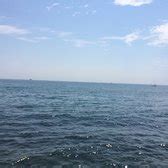 Ward’s Island - 99 Photos & 28 Reviews - Beaches - Toronto Island ...