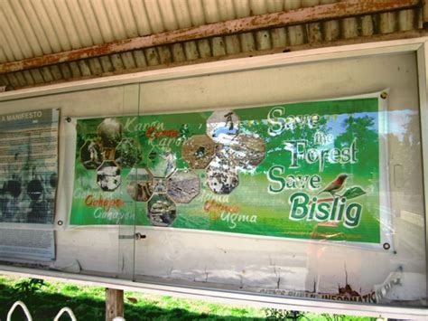 AROUND BISLIG CITY ~ MOUNTAINS&BEYOND