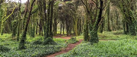 Short breaks in Sintra | Hiking near Lisbon - Portugal Nature Trails