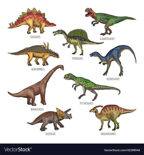 Colored of different dinosaurs types Royalty Free Vector