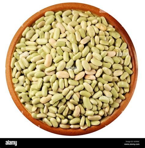 FLAGEOLET BEANS ON WHITE Stock Photo - Alamy