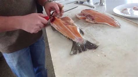 How to Fillet: Brown Trout - Tips and Techniques by Knifetechnz - YouTube