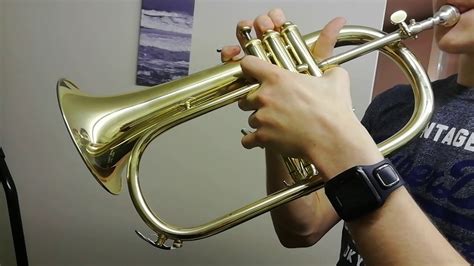 Flugel Horn.... Solo from Brassed Off - YouTube