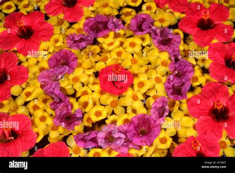 Flowers arranged in a pattern known as athapoo or atthapoo, typically ...