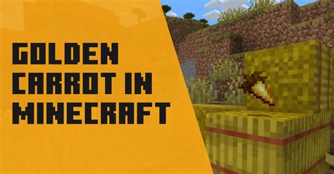 Where to Find Golden Carrot in Minecraft