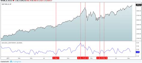 Bull Bear Ratio and How You Can Use this Indicator | TradingSim