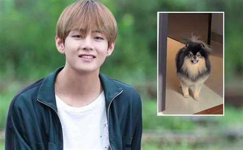 BTS member V's cute pet dog Yeontan trends worldwide, Watch video