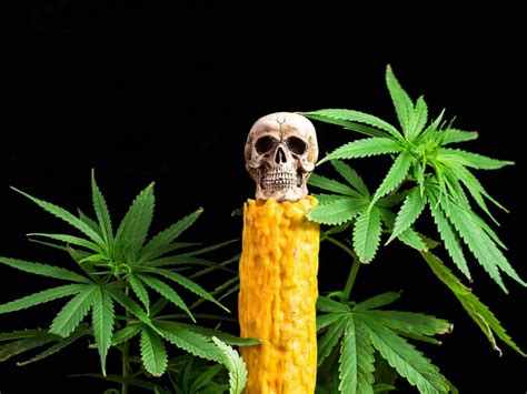 Six Top Tips For The Ultimate Cannabis-Themed Halloween