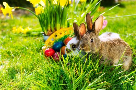 Ostern.... wir wünschen unseren Kunden erholsame und sonnige Ostertage! - Immobilienmakler Essen ...