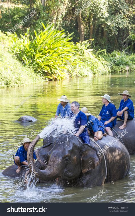 Chiangmaithailandjan 202017 Thailandactivities Elephant Bathing ...