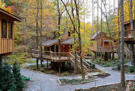 Gallery - Treehouse Grove at Norton Creek | Gatlinburg, TN