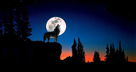 Wolf Moon Wallpapers - Top Free Wolf Moon Backgrounds - WallpaperAccess