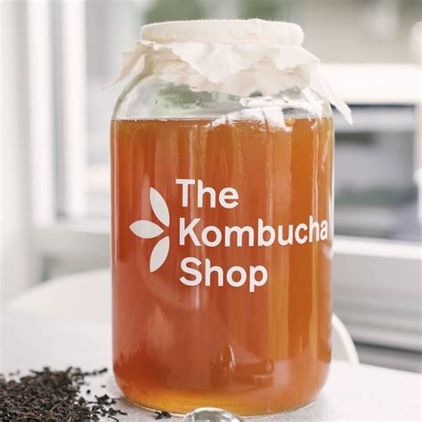 Kombucha Brewing Kit