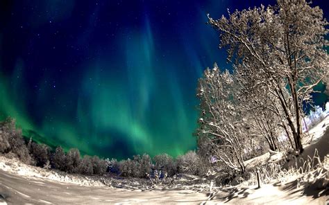 Winter Night Lights | Winter wallpaper, Northern lights, Pictures