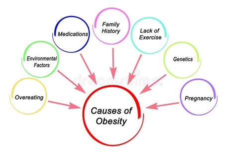 Obesity Diagram Stock Illustrations – 544 Obesity Diagram Stock ...