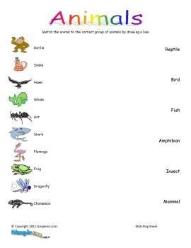 animal classification worksheet | Science worksheets, Free science worksheets, Animal classification