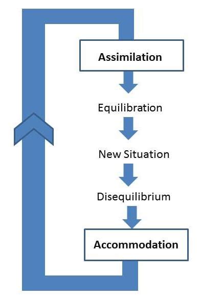 Jean Piaget's Theory and Stages of Cognitive Development (2023)