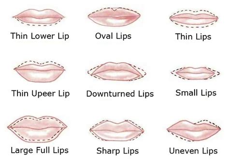 Top Ten Lip Shapes - SIKHARAMTV