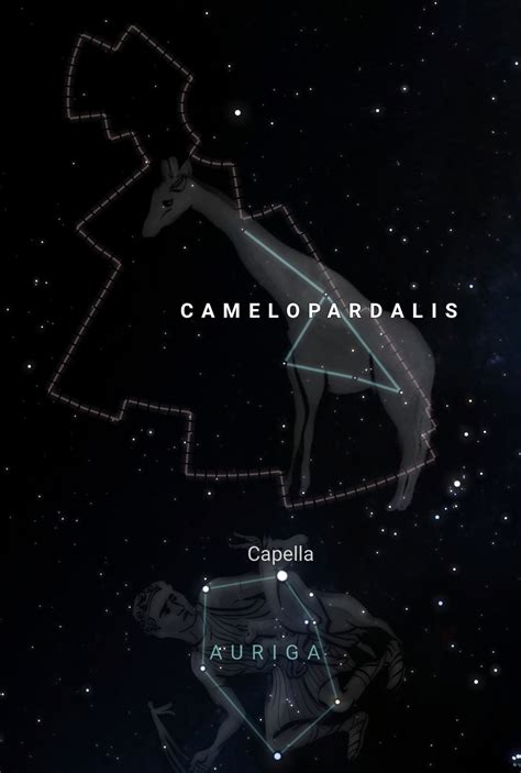 A Guide to Locating & Viewing Camelopardalis Constellation