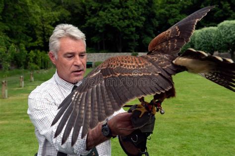 Falconry Show at Dunrobin Castle, Scotland Editorial Image - Image of ...