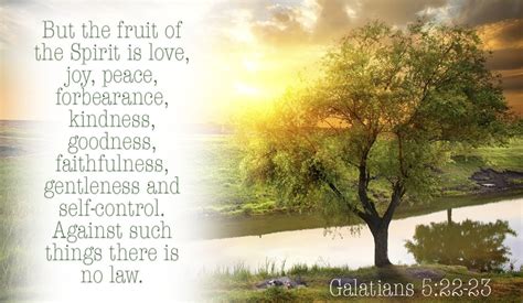 12 Top Bible Verses About the Fruit of the Spirit - Inspiring Scripture