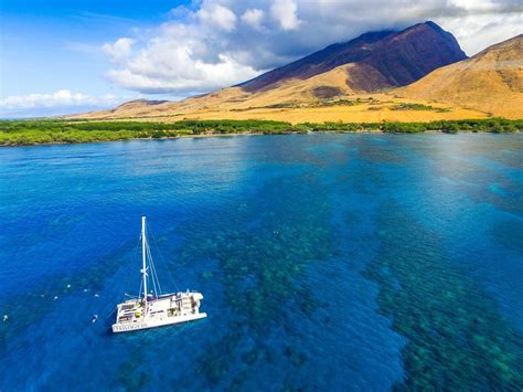 Maui Boat Snorkel Tours, West Maui Snorkel — TRILOGY CAPTAIN'S LOG