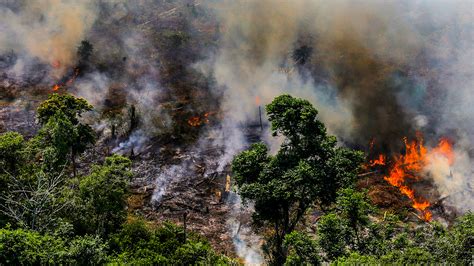 Brazil fight Amazon rainforest fires-[1920×1080] : r/wallpaper