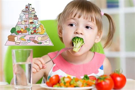 La Dieta equilibrada para niños pequeños - Estimulacion Temprana para Padres