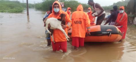 India – Hundreds Displaced by Floods in Tamil Nadu – FloodList