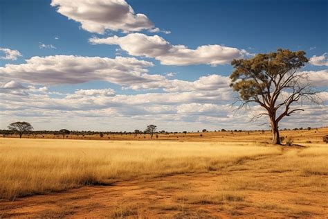 Savanna landscape outdoors nature. AI | Premium Photo - rawpixel