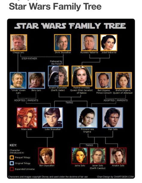 Pin by Aly4n4 on Star Wars | Star wars humor, Star wars family tree ...