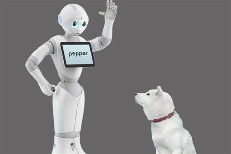 Emotional Robot Is Designed To Keep Its Owners Happy | Robot design, Robot, Emotions