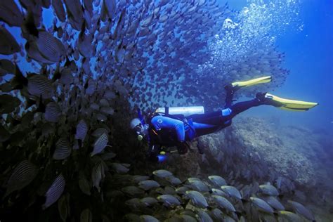 Scuba Diving Costa Rica - Book the Best Diving in Costa Rica