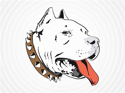 Pit Bull Vector Art & Graphics | freevector.com