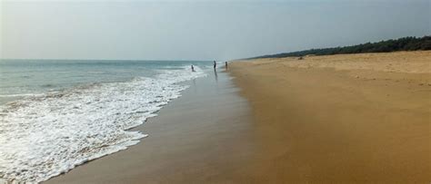 Konark Beach | Famous Beach in Odisha - Patra Tours And Travels