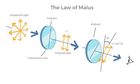 Malus Law Calculator with steps - Light polarization