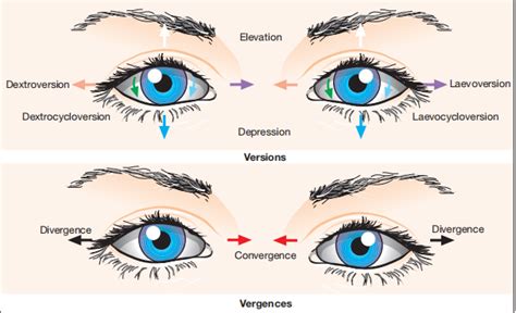 Assessment of Ocular Movements - Optography