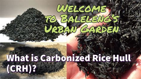 What is Carbonized Rice Hull(CRH)? | Baleleng's Urban Garden - YouTube