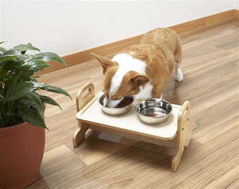 Adjustable Height Wood Dining Table for DogSenior Pets Friendly (Medium) | Dog bowls, Pet ...