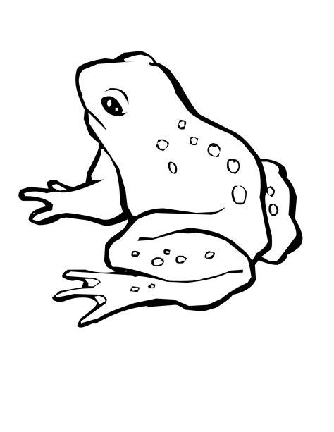 Swamp Animals Coloring Pages at GetColorings.com | Free printable colorings pages to print and color